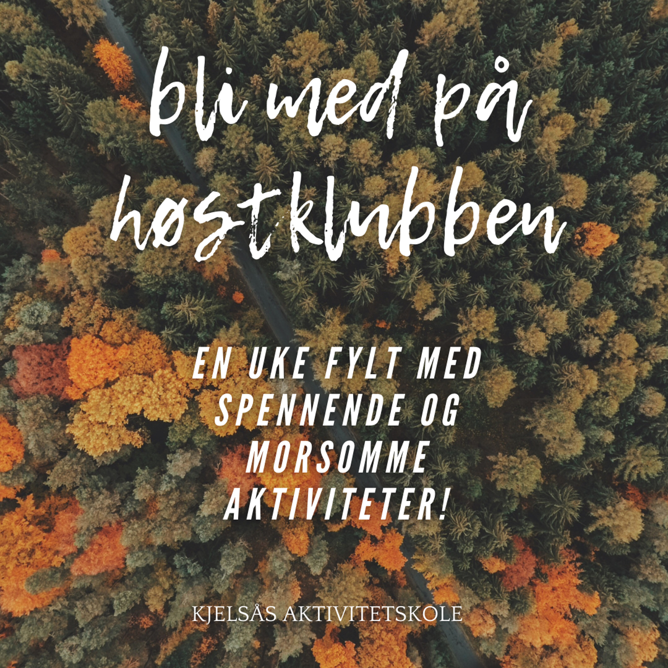 Foto: Emilie Nancy Eiken Høstklubben